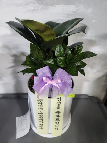 ��û�����ƻ�� ���� ���γ�� �ɹ�� �̹���