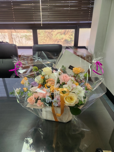 ����Ư���ñ��α� ���� ���̾߱�ī���ö�� �ɹ�� �̹���