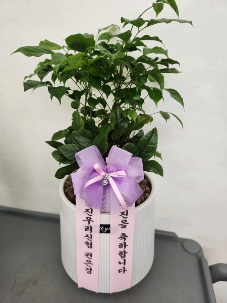 ��û�����ƻ�� ���� ���γ�� �ɹ�� �̹���