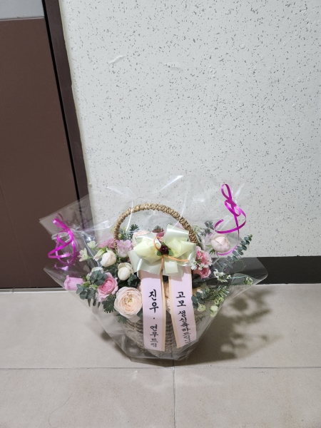 ����Ư���ñ��α� ���� ���̾߱�ī���ö�� �ɹ�� �̹���