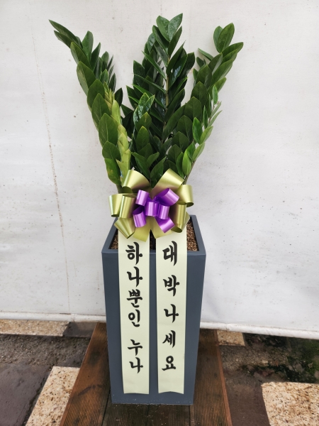 ��û�����ƻ�� ���� ���γ�� �ɹ�� �̹���