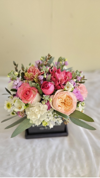 ���ϵ����׽� �ϱ� ���� �����÷������� �ɹ�� �̹���