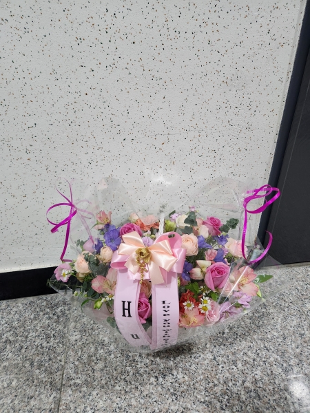 ����Ư���ñ��α� ���� ���̾߱�ī���ö�� �ɹ�� �̹���