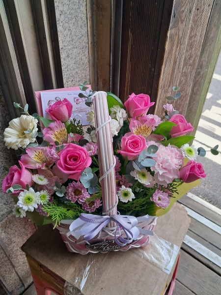 ����Ư���ü����� ���� ����ȭ�� �ɹ�� �̹���