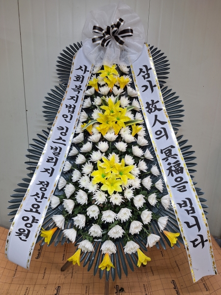 ����Ư���ð����� ���� ȿ���ö�� �ɹ�� �̹���