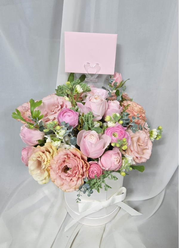 ��⵵���ý� ���� �ɰ��� �ɹ�� �̹���