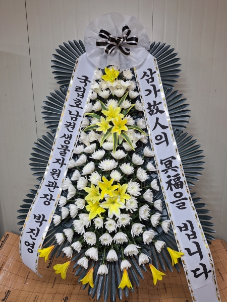 ����Ư���ð����� ���� ȿ���ö�� �ɹ�� �̹���