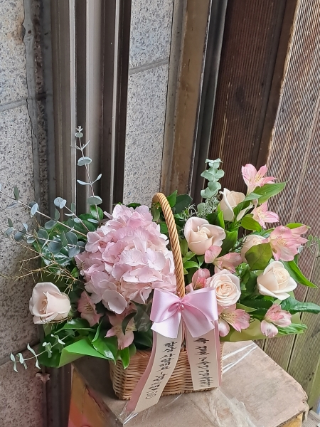 ����Ư���ü����� ���� ����ȭ�� �ɹ�� �̹���