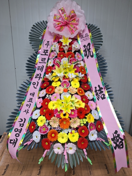 ����Ư���ð����� ���� ȿ���ö�� �ɹ�� �̹���