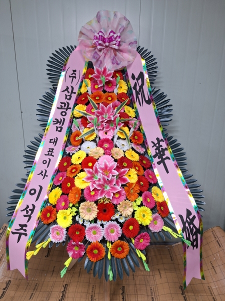 ����Ư���ð����� ���� ȿ���ö�� �ɹ�� �̹���