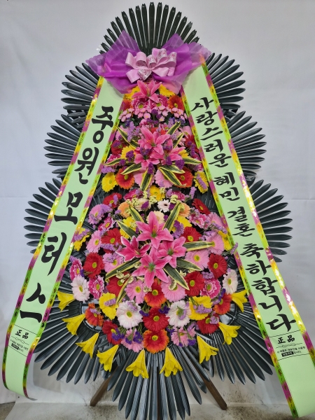 ��걤�����߱� ���� ���ɹ���μ��ö�� �ɹ�� �̹���