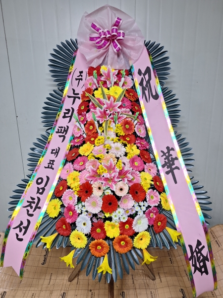 ����Ư���ð����� ���� ȿ���ö�� �ɹ�� �̹���