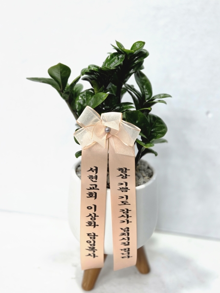 �뱸�����úϱ� ���� ĥ���ɵ��Ž��峻 �켺���� �ɹ�� �̹���