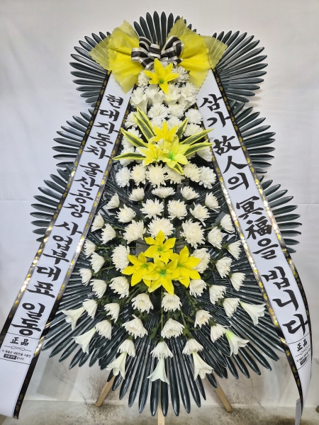 ��걤�����߱� ���� ���ɹ���μ��ö�� �ɹ�� �̹���