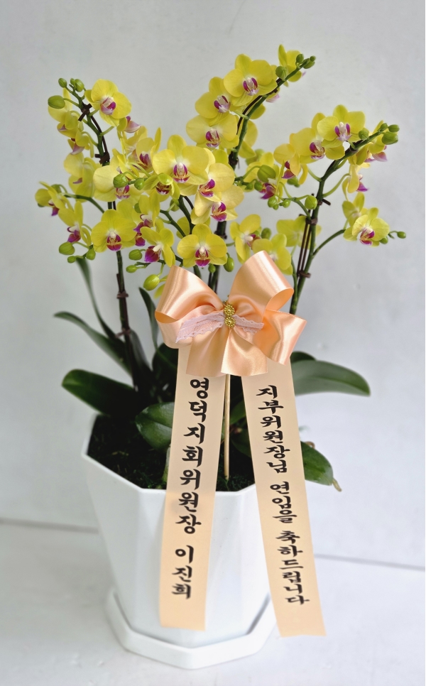 �뱸�����úϱ� ���� ĥ���ɵ��Ž��峻 �켺���� �ɹ�� �̹���