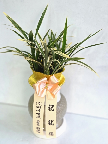 �뱸�����úϱ� ���� ĥ���ɵ��Ž��峻 �켺���� �ɹ�� �̹���