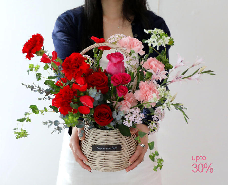  �ɹ�� ����