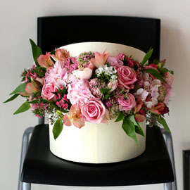 Fresh spring flower ũ ޻