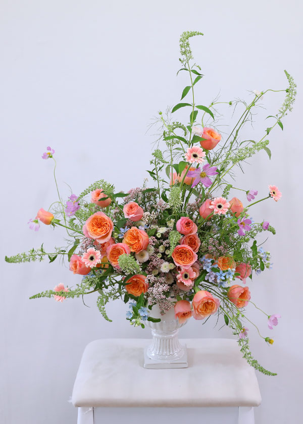 Premium arrangements