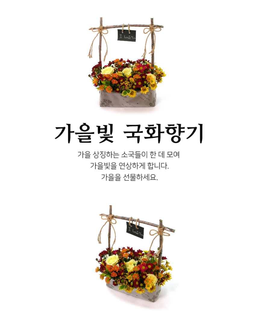 []ȭ ~ -  ϳ(ٱ ǰ   )  ɹ