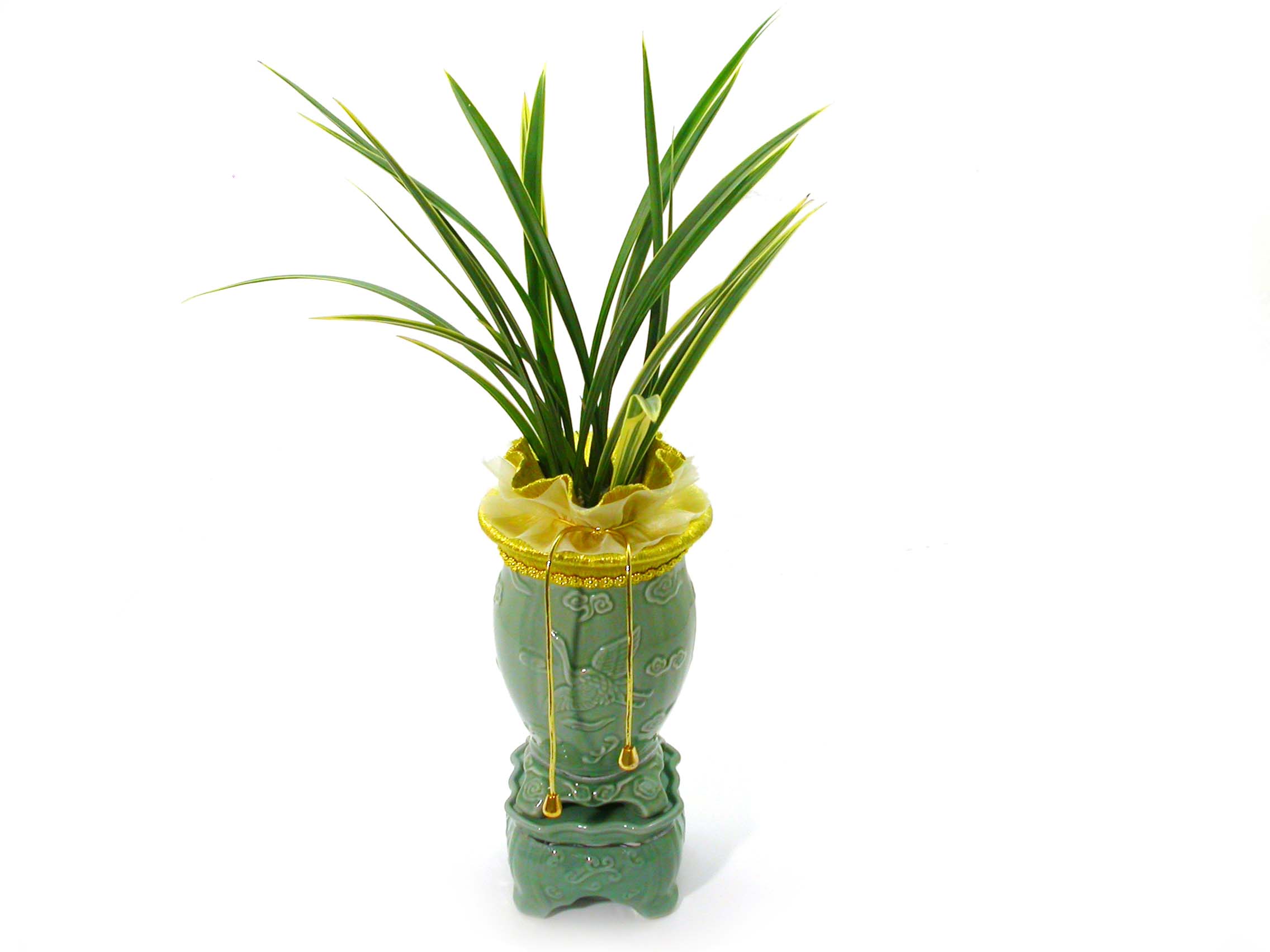 Ȳ·æ±Ý ²ÉÁý ²É¹è´Þ