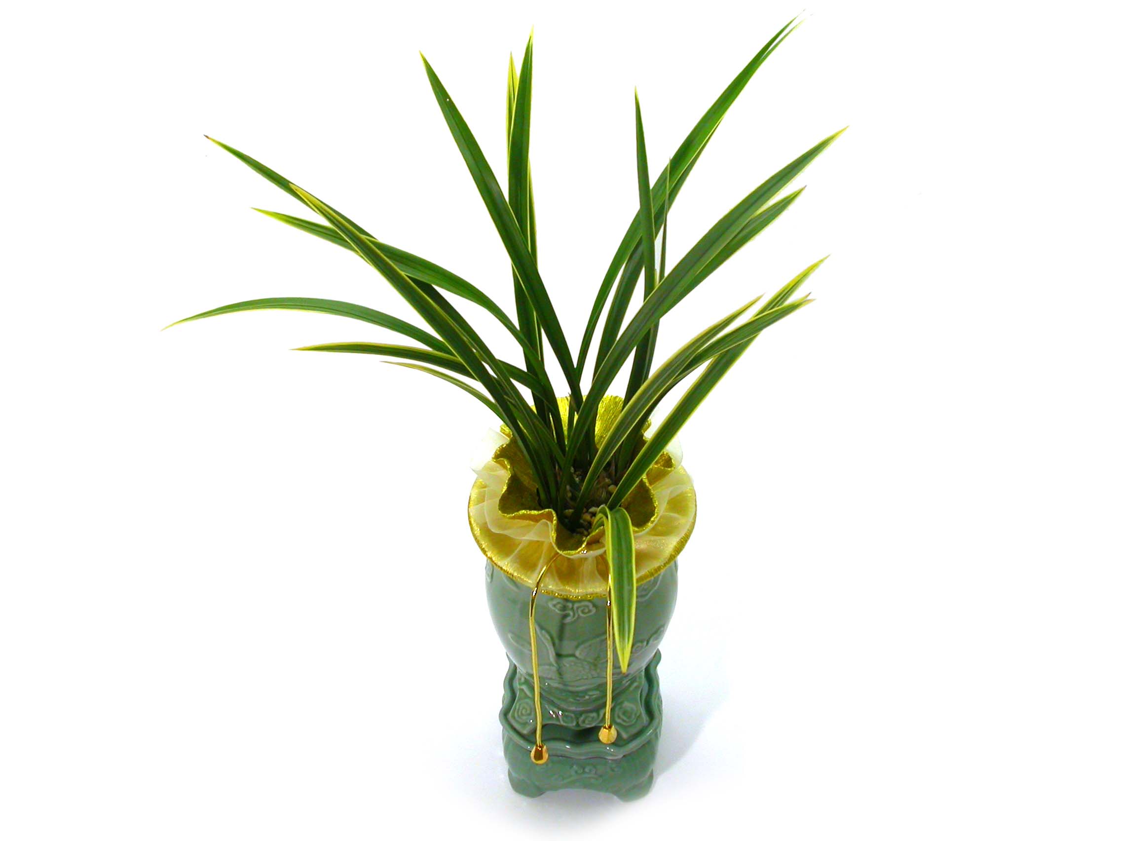 Ȳ·æ±Ý ²ÉÁý ²É¹è´Þ