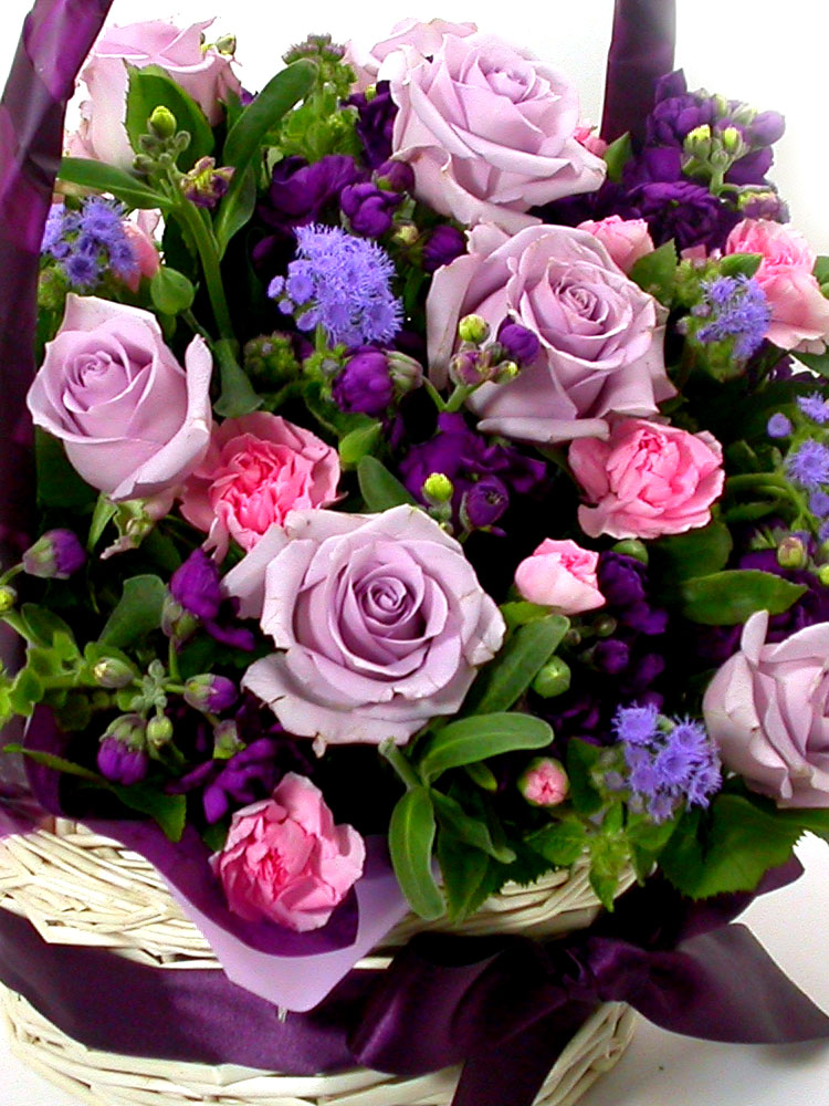 Life is cool - ¹è·ÁÀÇ ¸Ú