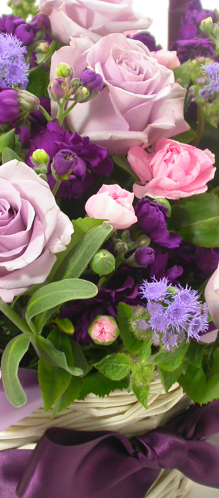 Life is cool - ¹è·ÁÀÇ ¸Ú