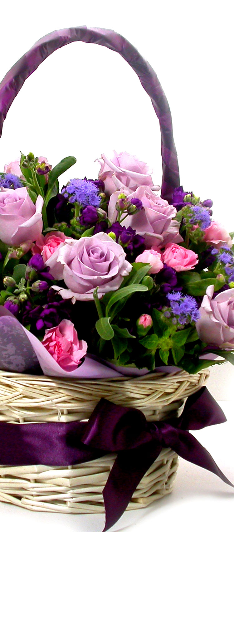 Life is cool - ¹è·ÁÀÇ ¸Ú