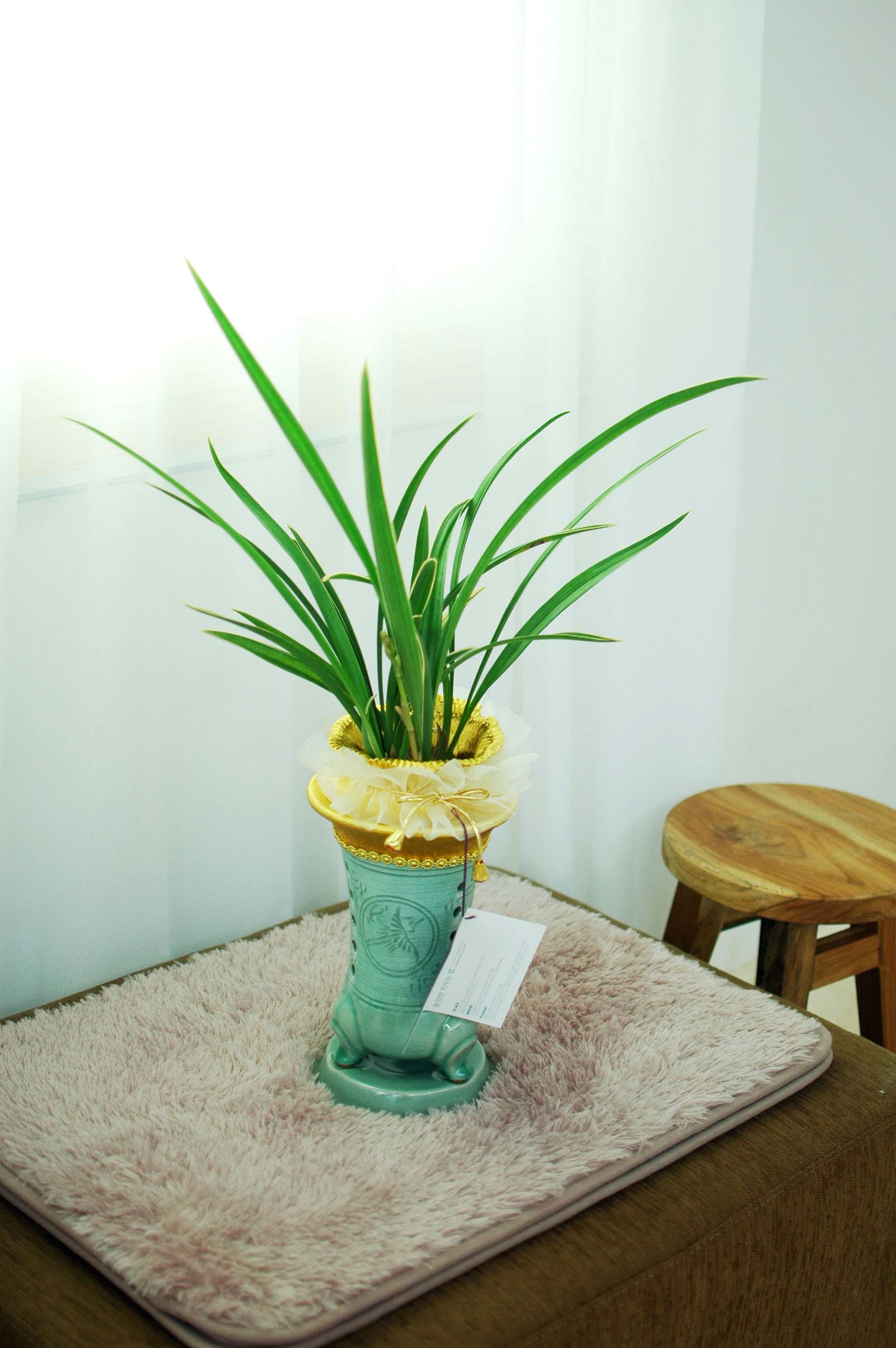 ûÀںп¡ ½ÉÀº ¿ÁÈ ²ÉÁý ²É¹è´Þ