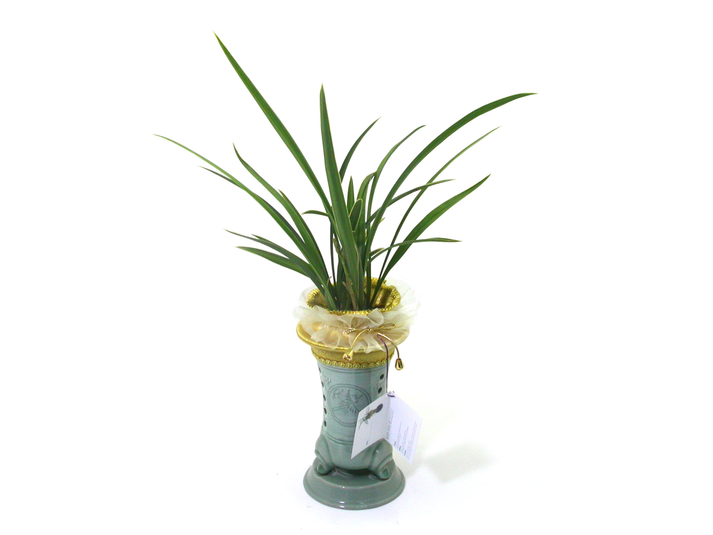 ûÀںп¡ ½ÉÀº ¿ÁÈ ²ÉÁý ²É¹è´Þ