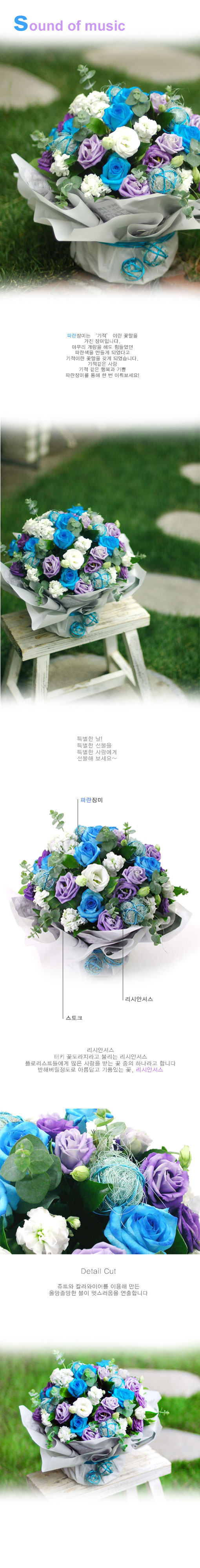 [] Blueberry Nights - sound of music  ɹ