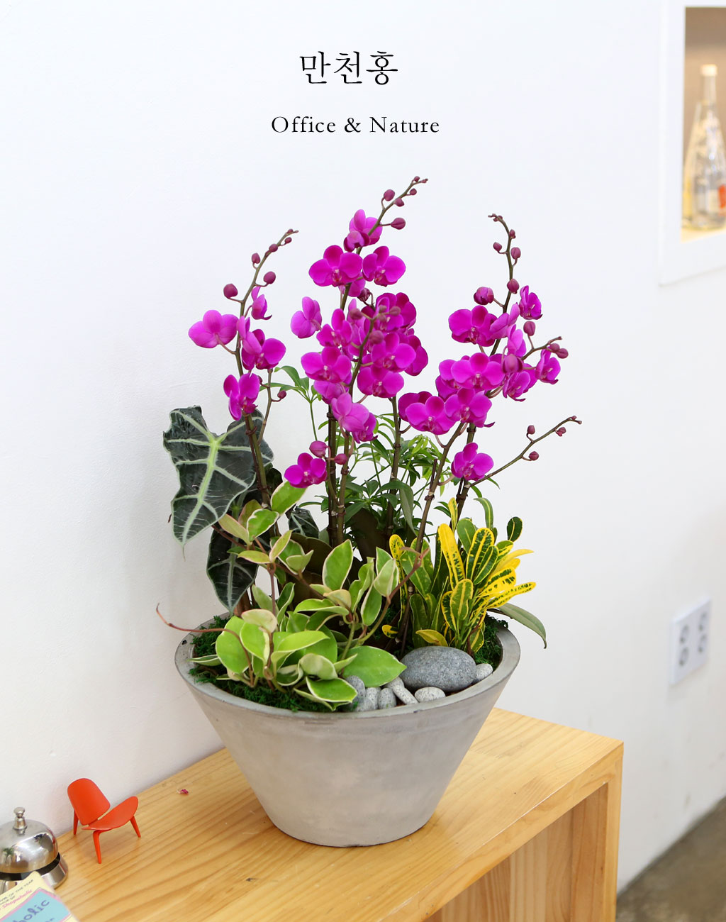 []Ƹٿ ִ  -  ȭ õȫ () (ȭ⺯)