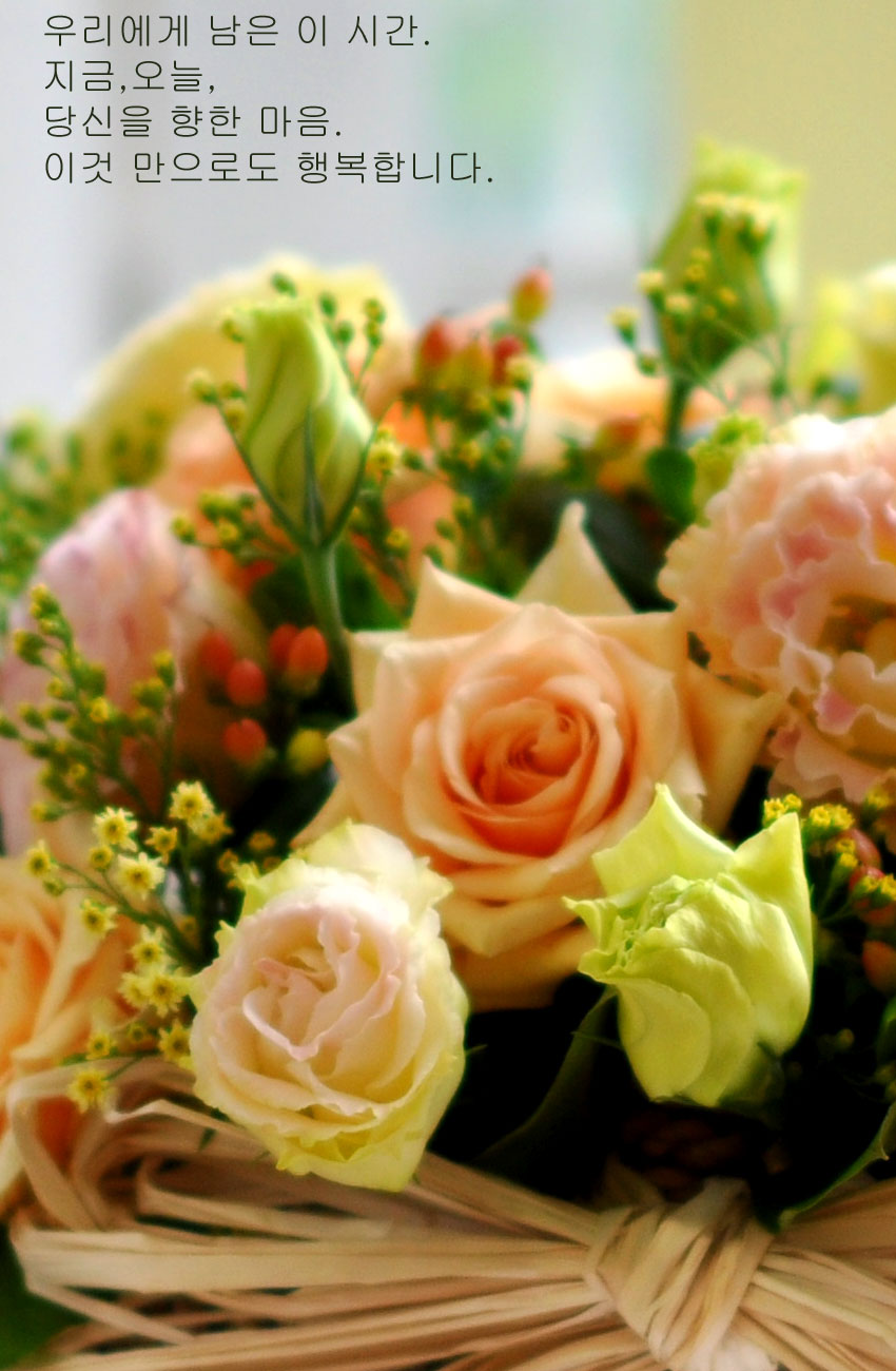 [] Lovely lover - My sweetie