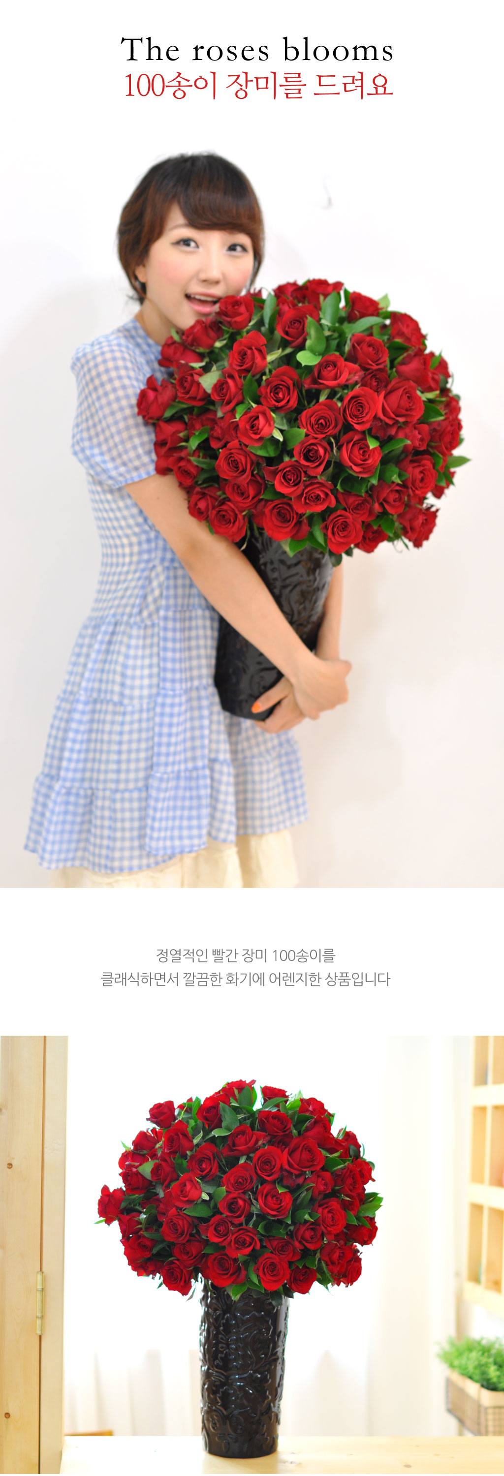 []The Roses Bloom - 100 ̸   ɹ