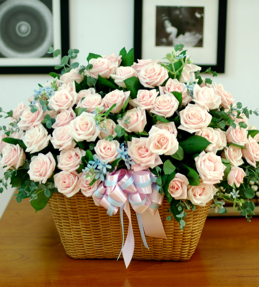 [] [100]The Roses Bloom -  ׳࿡