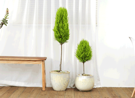 °ø°£¿¡ ¸ÚÀ» »ì·ÁÁÖ´Â - À²¸¶ Set ²ÉÁý ²É¹è´Þ