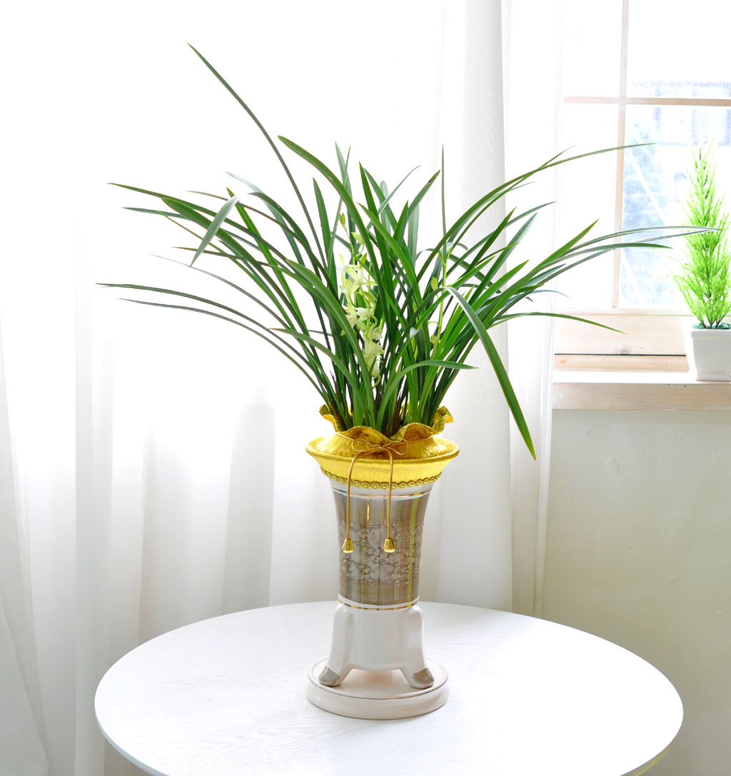 [λ̵ õ] Ͼ Ǿ ο   ɹ