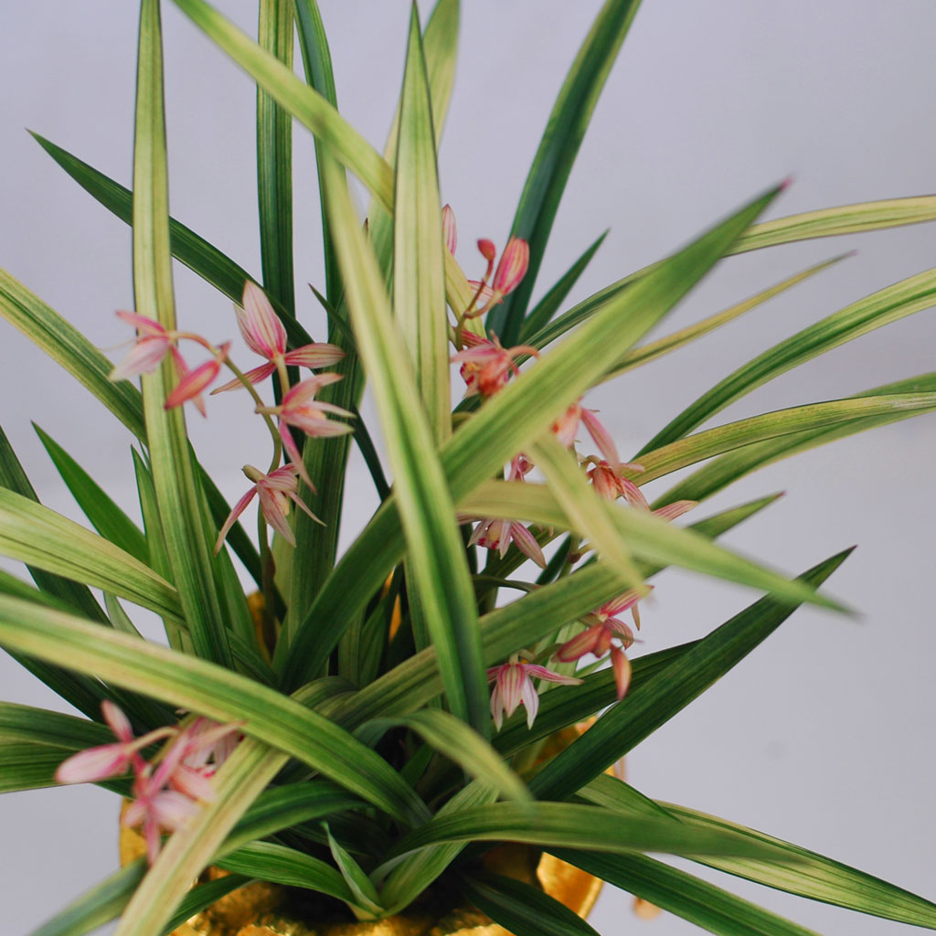 [λ̵ õ]   Ǿִ ޵  ɹ