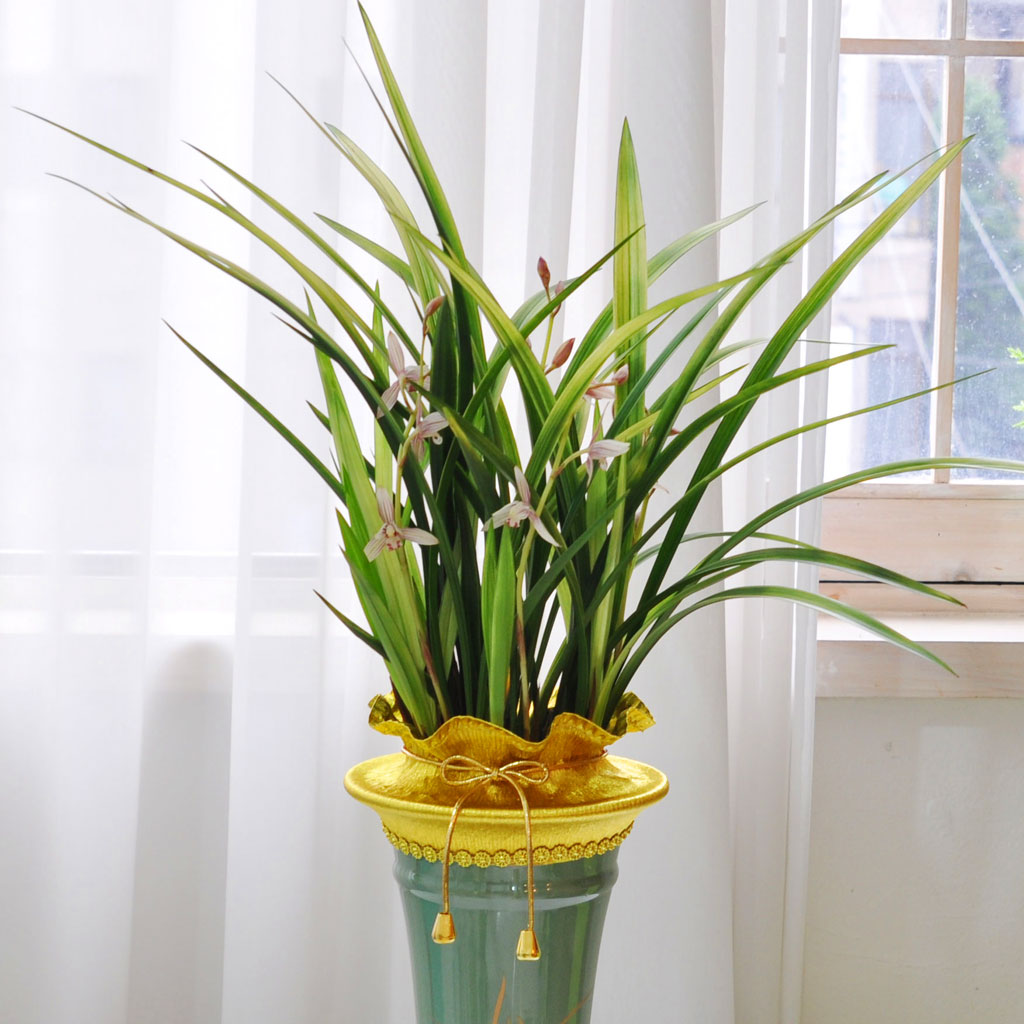 [λ̵ õ]   Ǿִ ޵  ɹ