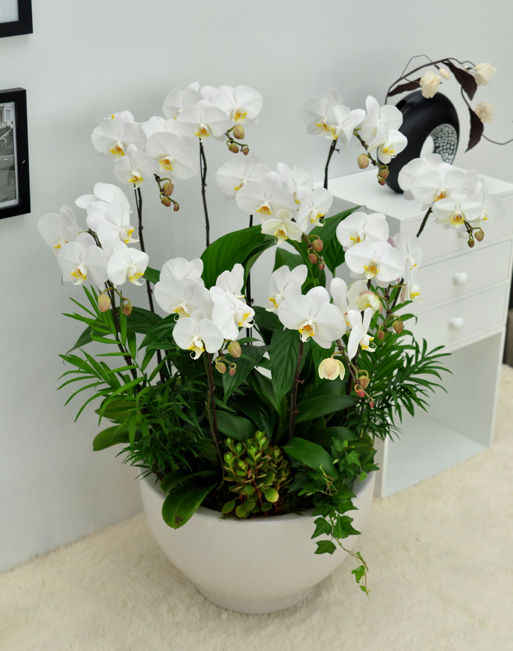 ôº ǰ!! - ö119 ȣ  ɹ