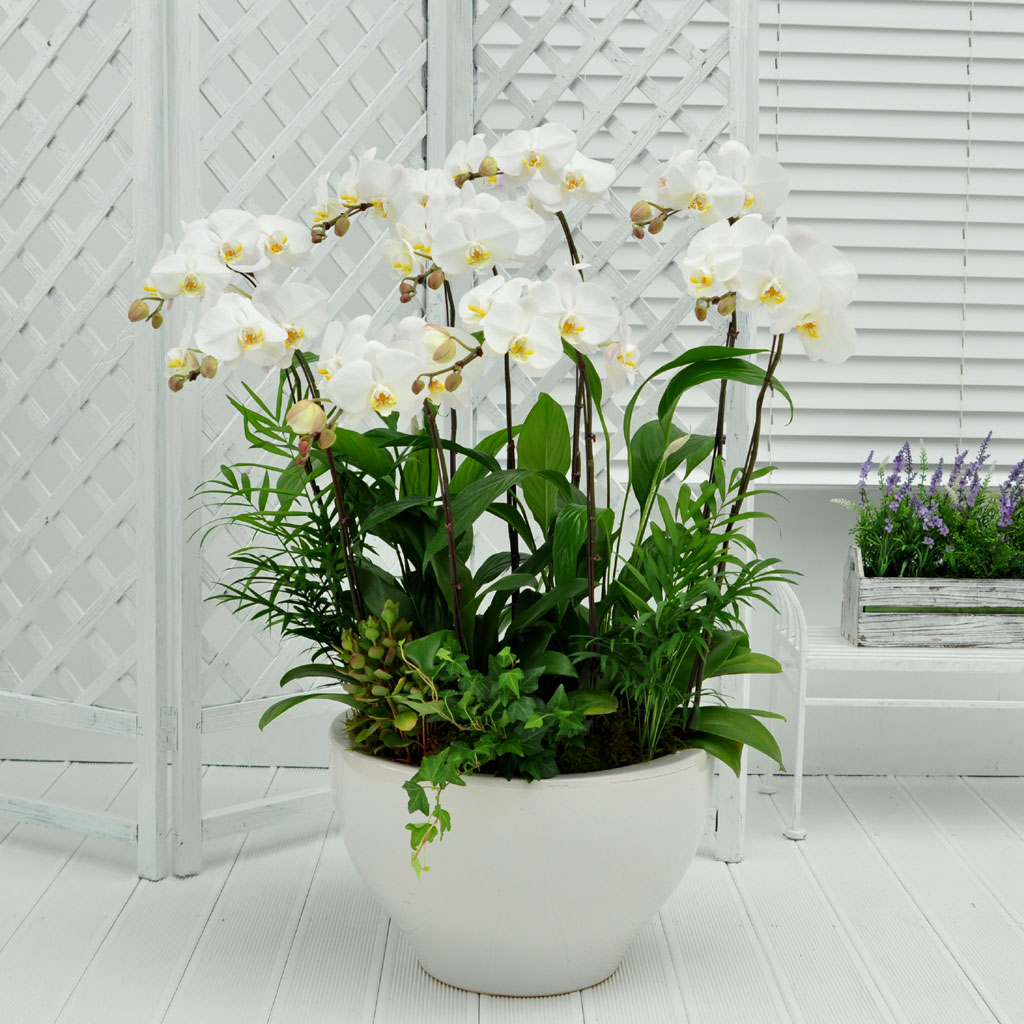 ôº ǰ!! - ö119 ȣ  ɹ