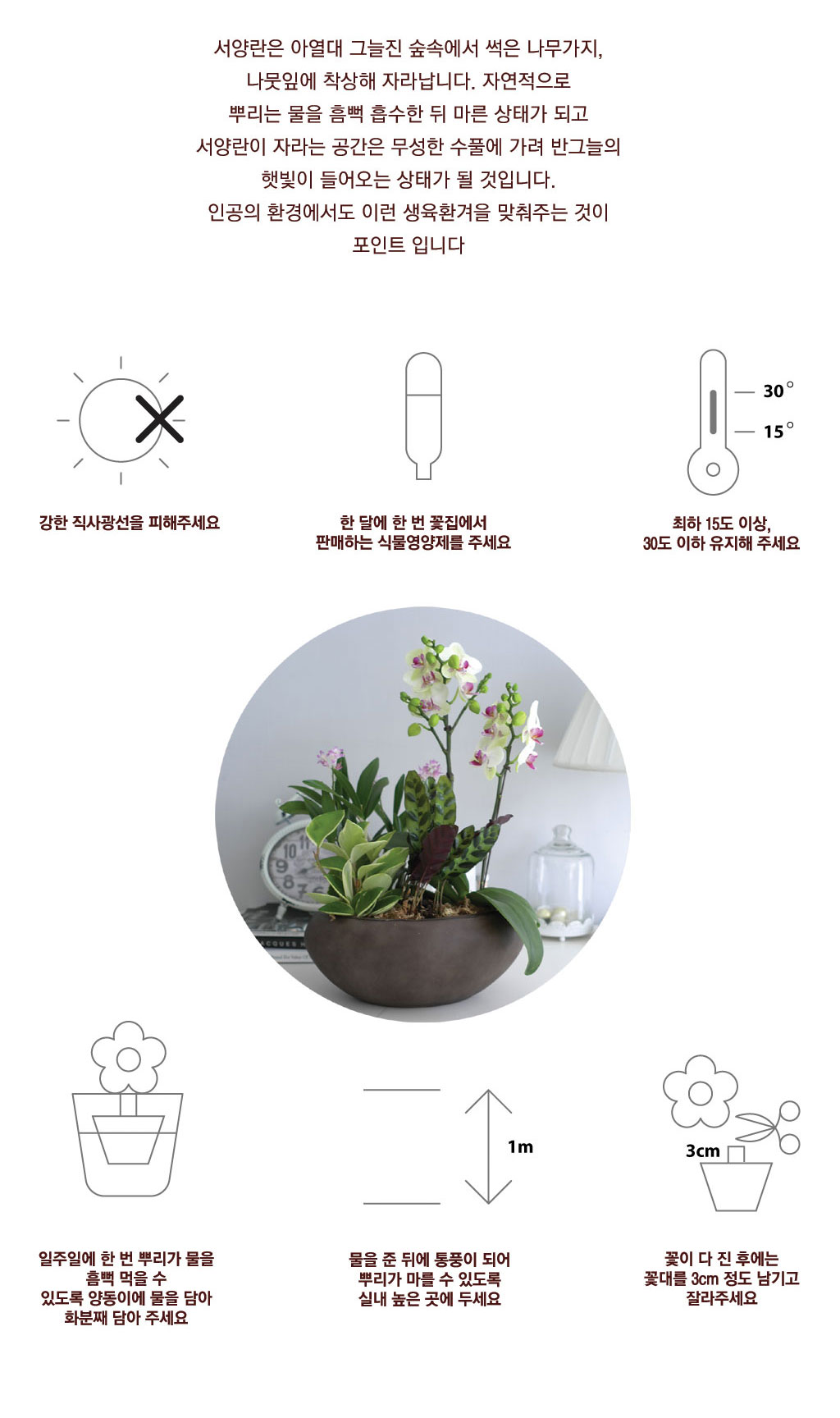 Office&Nature - ¹«´Ì°¡ ¾Æ¸§´Ù¿î ½ãºäƼ (Áß) ²ÉÁý ²É¹è´Þ