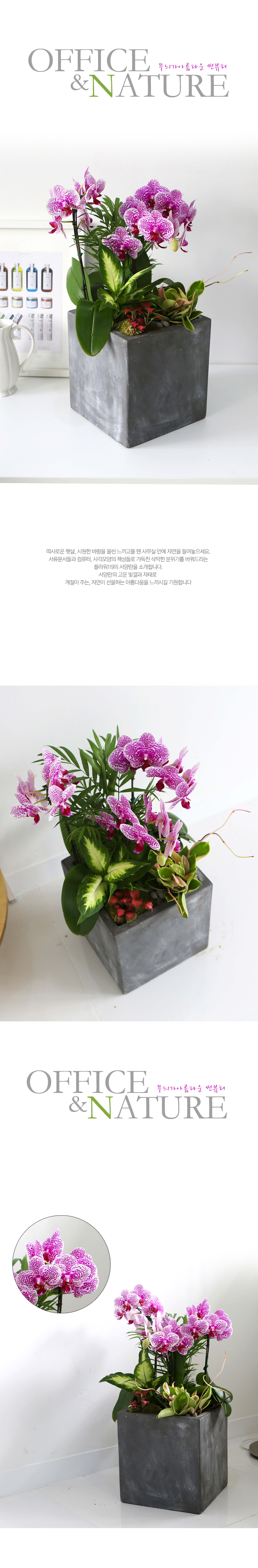 Office&Nature - ¹«´Ì°¡ ¾Æ¸§´Ù¿î ½ãºäƼ (Áß) ²ÉÁý ²É¹è´Þ