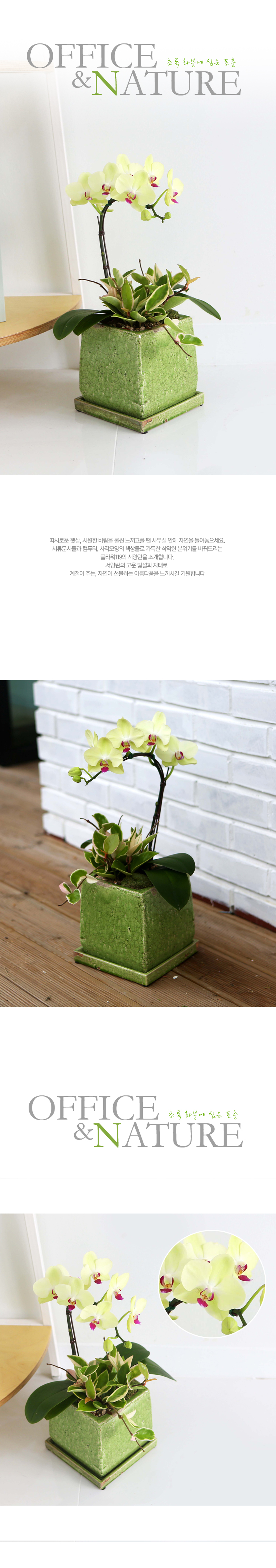 [ǹ] Office&Nature - [ȭ⺯}  ɹ