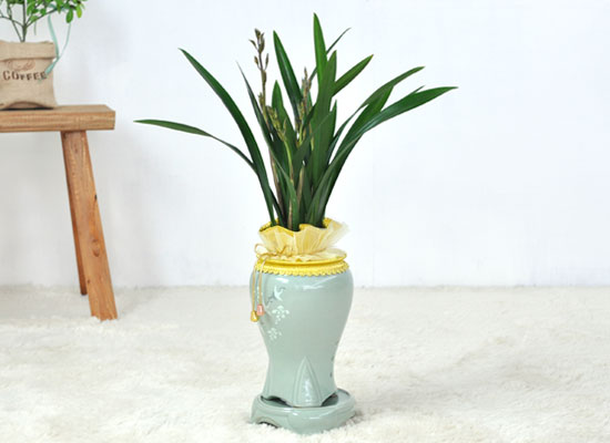 [λ̵õ] ȭ⿡    ɹ