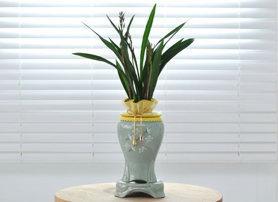 [λ̵õ] ȭ⿡    ɹ