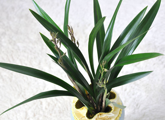 [λ̵õ] ȭ⿡    ɹ