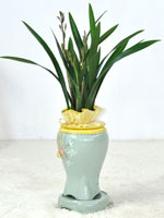 [λ̵õ] ȭ⿡    ɹ