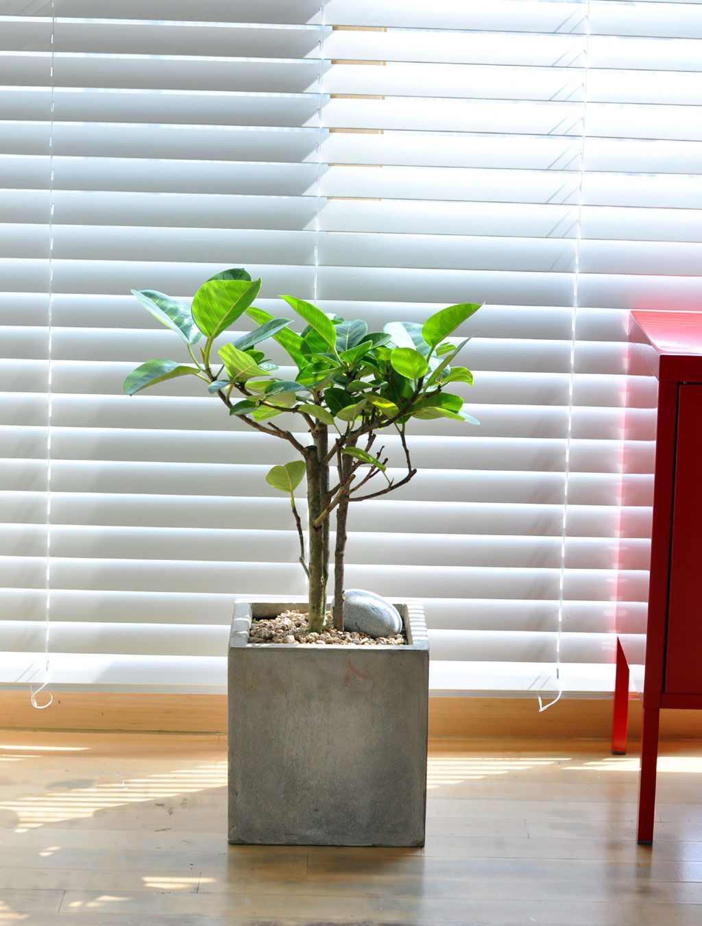 [ ׸ õ]׸ - 𰥰()  ɹ